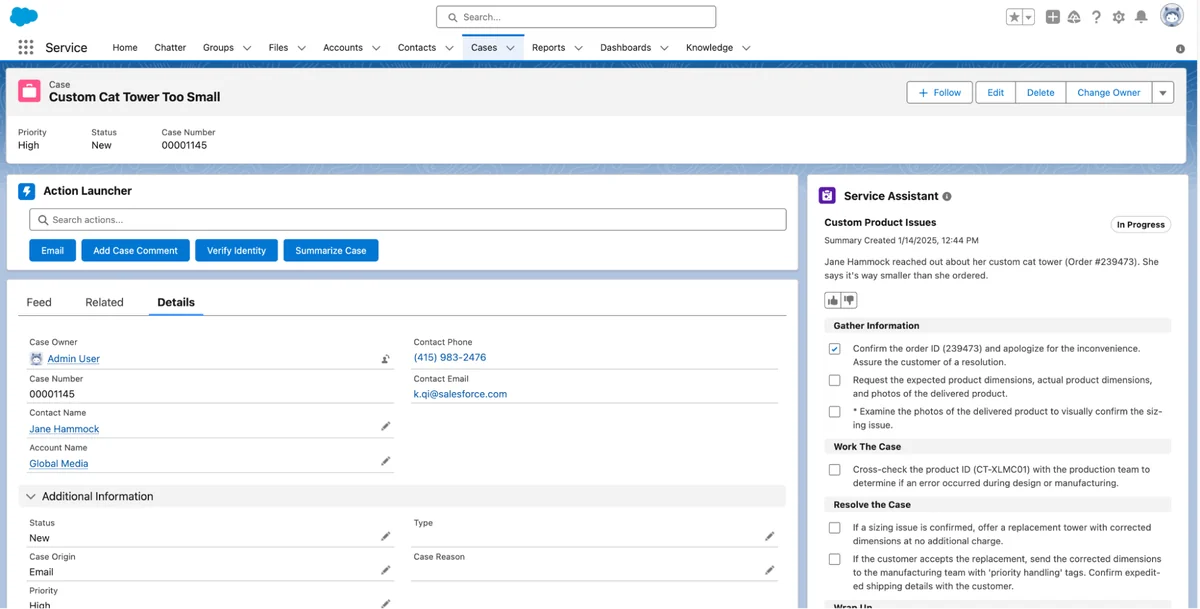 Service Assistant feedback controls and service plan review on a case