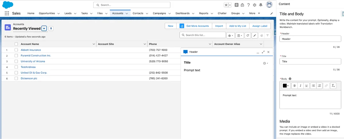 Docked Salesforce In-App Guidance prompt with supporting instructions