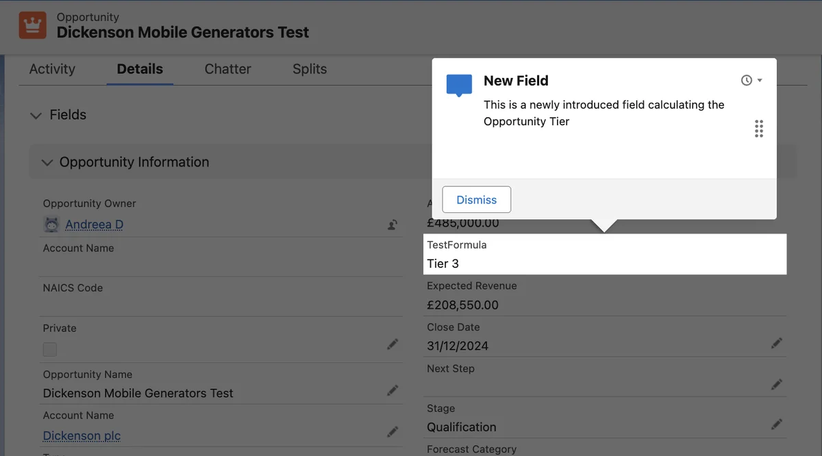 Salesforce in app guidance targeted prompt pointing to a page element