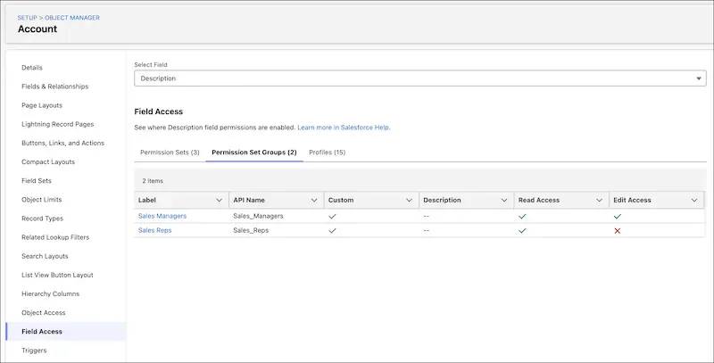 Field access summary used to review Salesforce permissions before enabling Chatter feeds