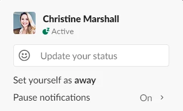 Slack paused notifications indicator displayed beside a user profile