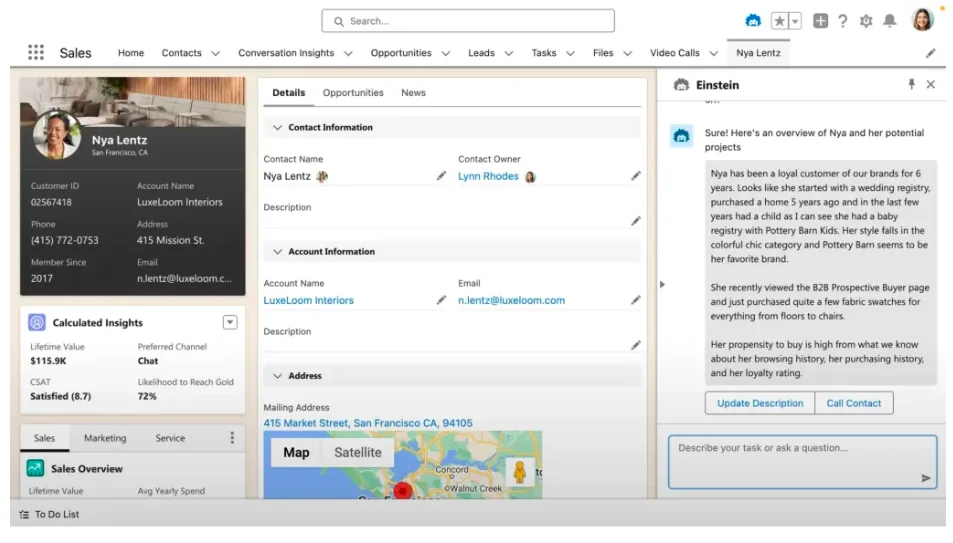 Einstein Copilot configuration screen showing AI assistant setup options