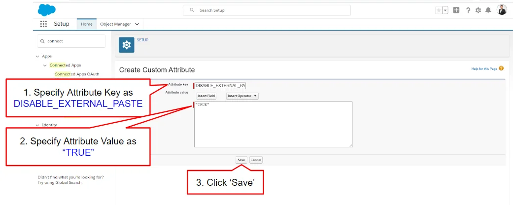 Salesforce DISABLE_EXTERNAL_PASTE connected app custom attribute for mobile data protection
