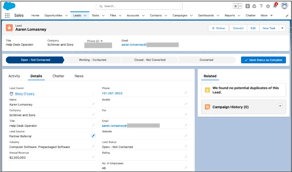Salesforce Lead record page used before lead opportunity Salesforce conversion