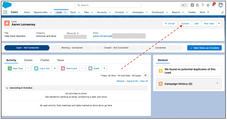 Salesforce Lead Convert button for creating account contact and opportunity