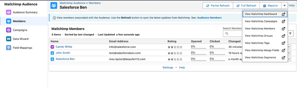 Salesforce Mailchimp member list with subscriber fields and tags