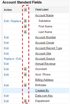 person account setup page showing Salesforce account record type configuration