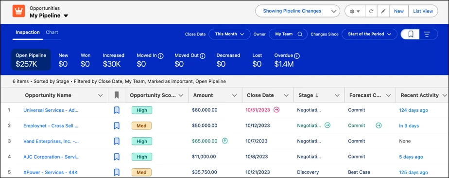 important opportunities filter used during pipeline management in Salesforce