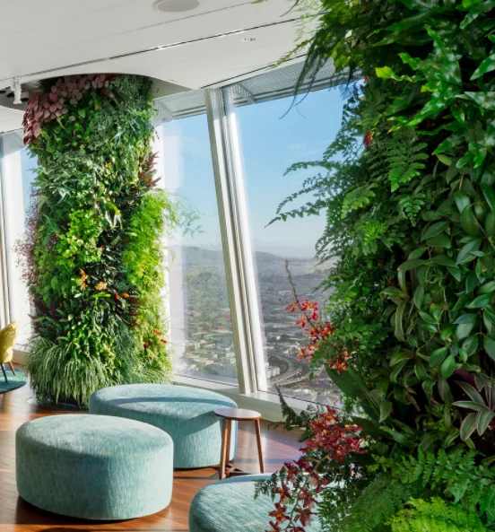 interior planting and workplace design context inside the sf salesforce building