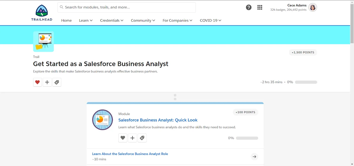 business analyst salesforce evidence dashboard for adoption security and process review