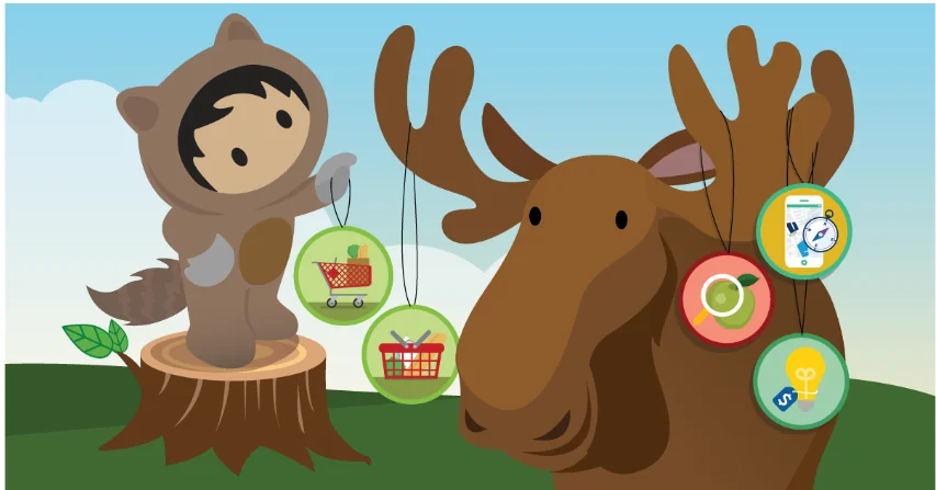 Salesforce character artwork example for ecosystem and engineering learning themes
