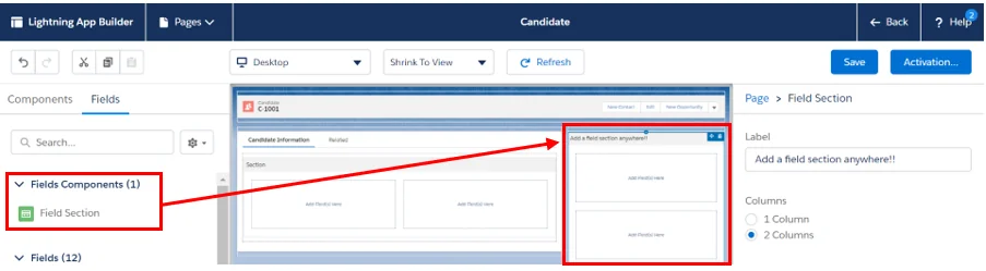 Dynamic Forms field palette showing fields that can be placed on the record page