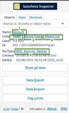 Salesforce object fields and record type links in Inspector Reloaded