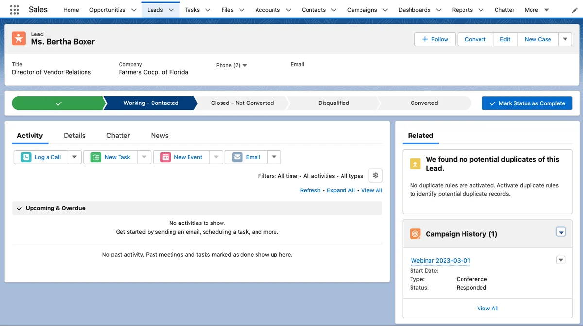 SFDC lead record before account and contact conversion