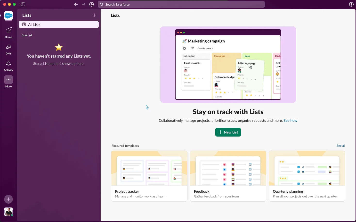 Salesforce project management tool workspace showing collaborative task tracking and project status