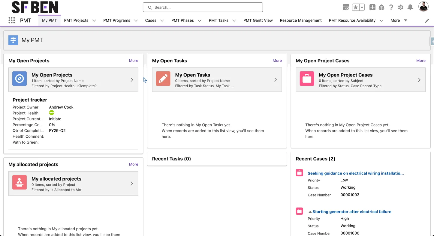 Salesforce project management tool interface for projects milestones tasks and delivery tracking