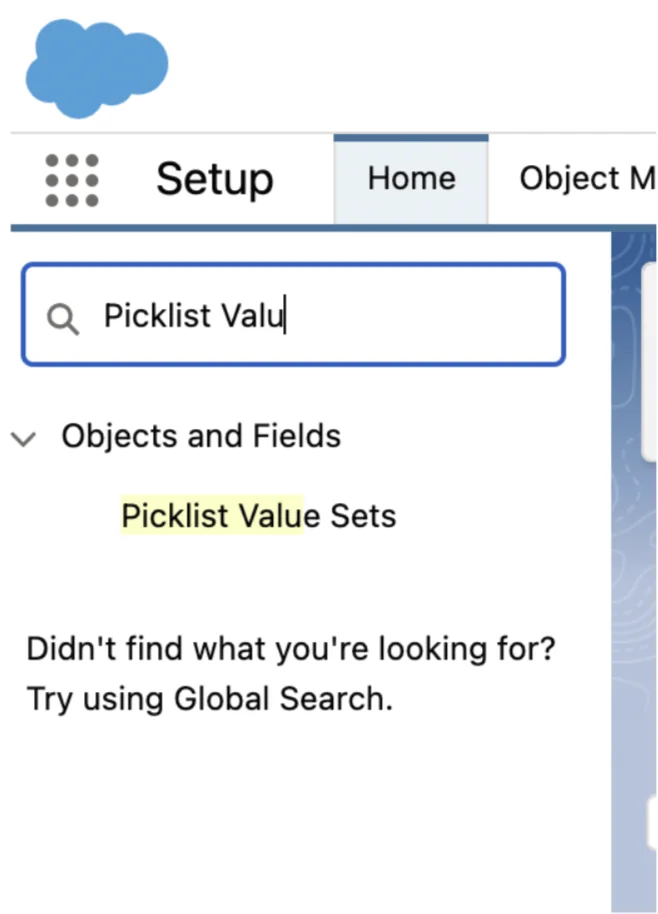 Salesforce Setup menu for picklist value sets and global value set configuration