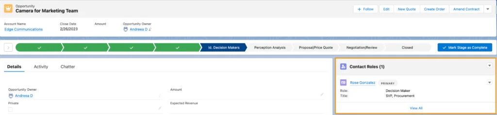 Salesforce opportunity contact roles with primary stakeholder selection