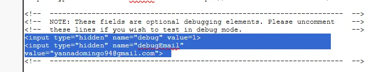 Enabled Salesforce Web-to-Lead debug input used during form testing