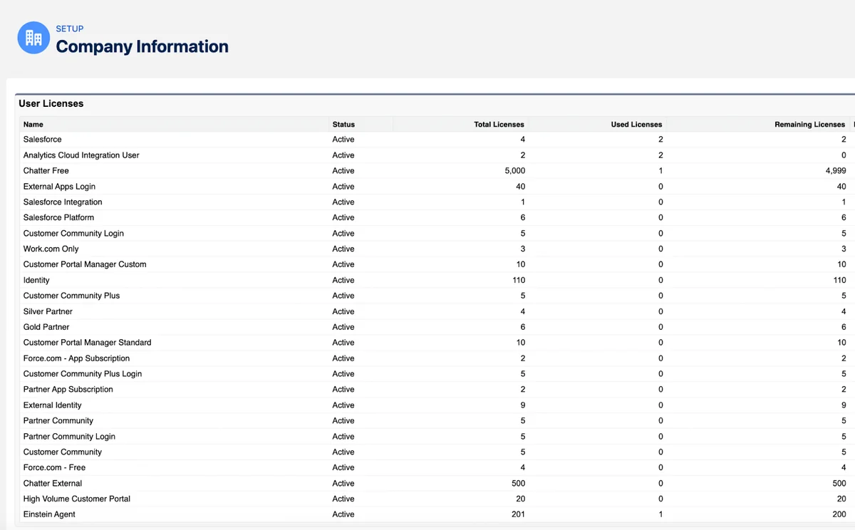 Where can you find active licenses in Salesforce Company Information page showing user license consumption