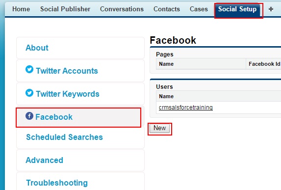 Adding Facebook Account to Salesforce.com