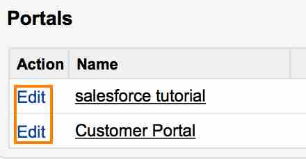 Customer Portal in salesforce