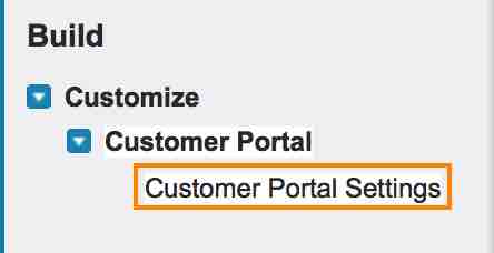 What is Customer Portal in Salesforce.