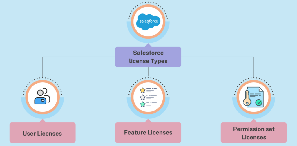 Salesforce License Types and Limits in Salesforce