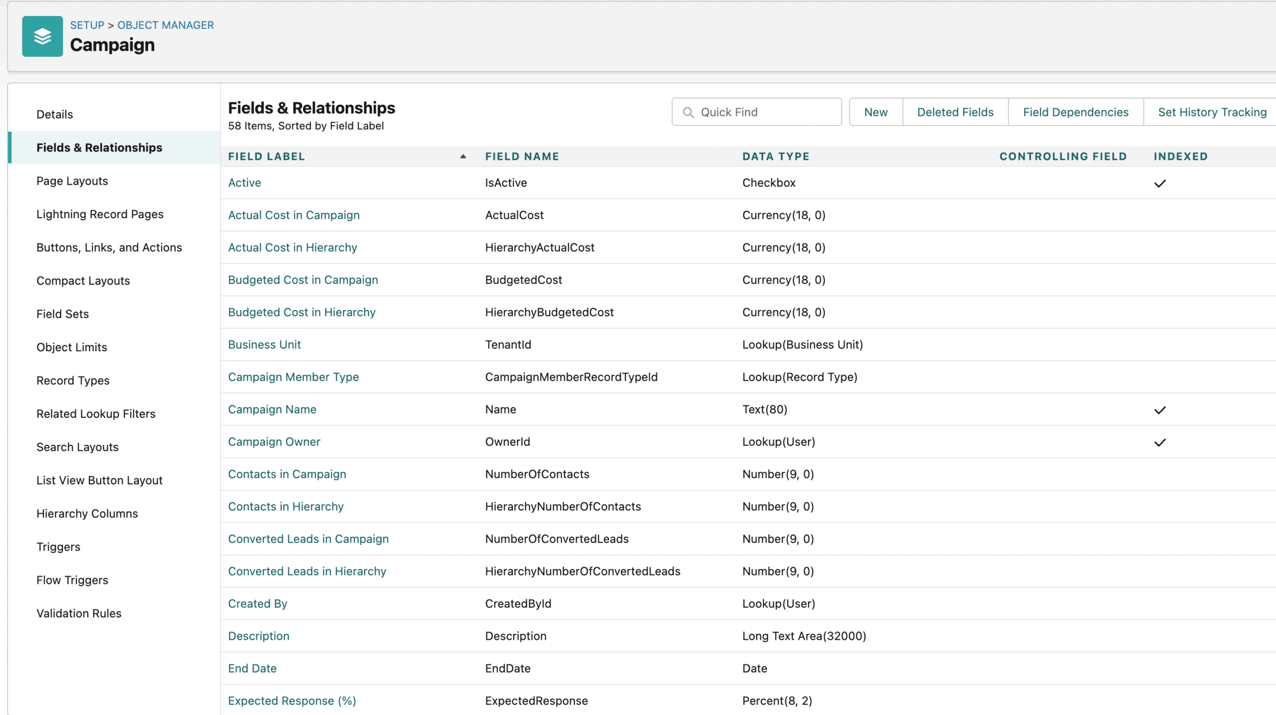 What are Salesforce Campaigns?